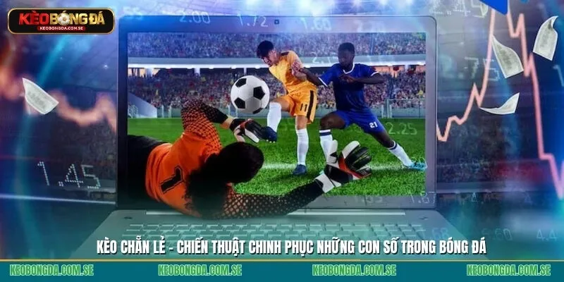 kèo chẵn lẻ