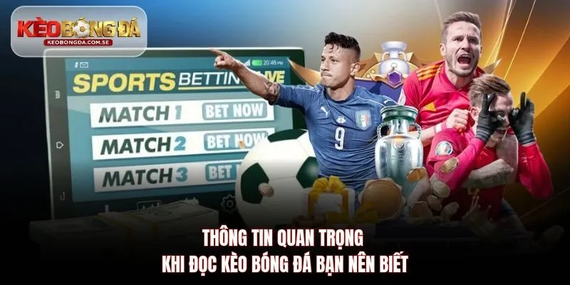 Thông tin quan trọng khi đọc kèo bóng đá bạn nên biết